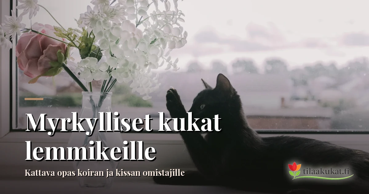 Myrkylliset kukat lemmikeille