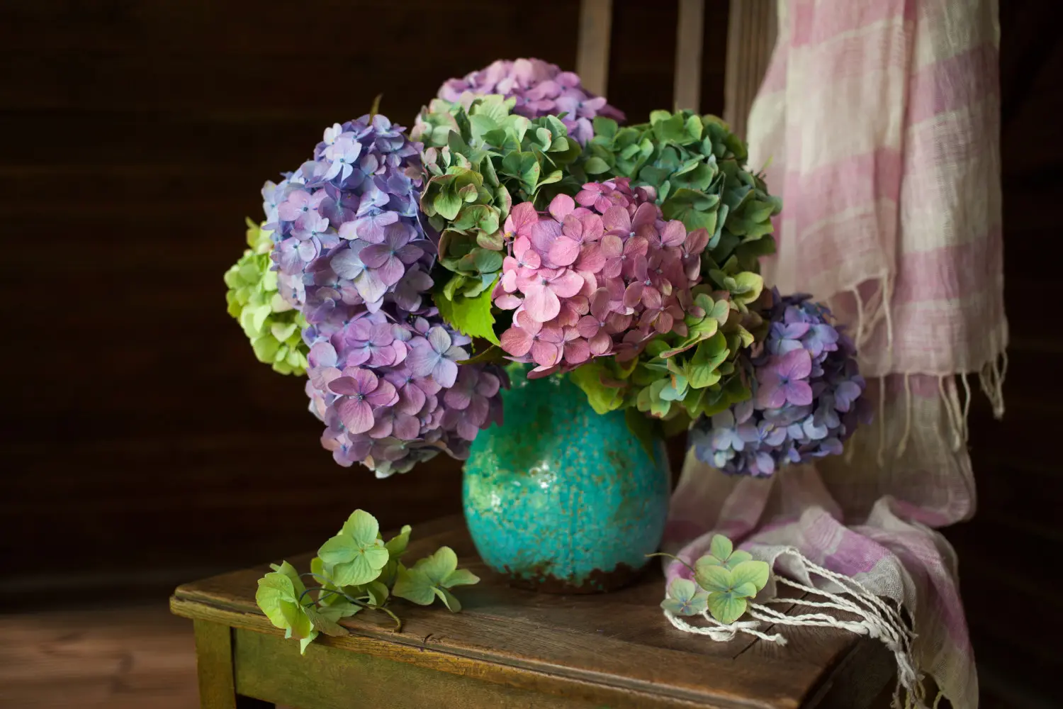 Toukokuun kuukauden kukka – Hortensia